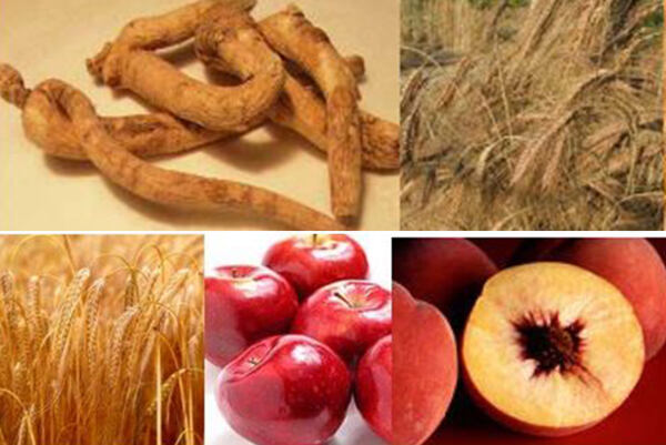 Koláž ingrediencí anti-pollution komplexu – ženšen, pšenice, ječmen, jablko a broskev.