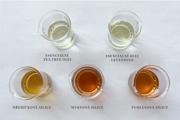Päť laboratórnych pohárov s esenciálnymi olejmi tea tree, levandule, klinčekov, myrty a tymianu na svetlom podklade.