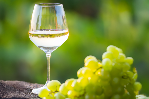 Pohár bieleho vína postavený vedľa strapca zeleného hrozna v prírodnom prostredí.