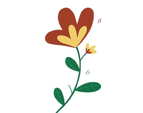 Ilustrácie bylín a ovocia reprezentujúcich lokálne ingrediencie.