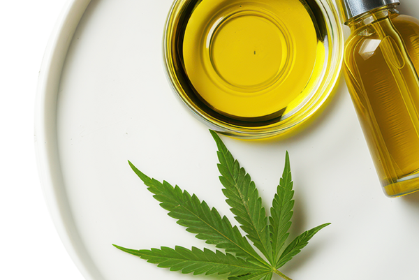 Konopný list a miska so žltým olejom na bielom podklade.