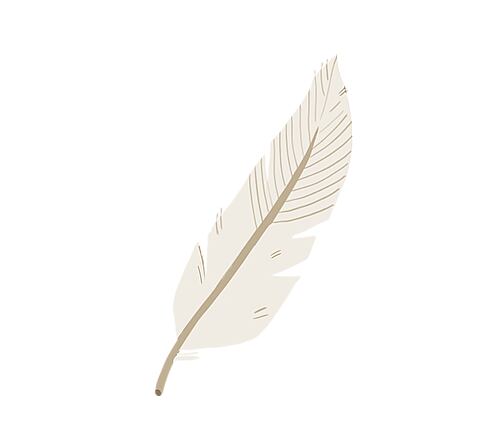 Ilustrácia pierka symbolizujúca prírodné a šetrné zloženie produktov.