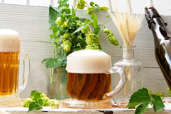 Pohár českého piva s penou, čerstvý chmeľ a obilie v pozadí.