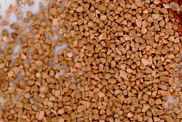 Detail hnedých zrniek - marhuľové peelingové častice pre jemnú exfoliáciu.