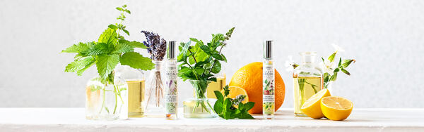 Aróma roll-ony Manufaktura medzi čerstvými bylinkami, citrusmi a kvetmi na svetlom pozadí.