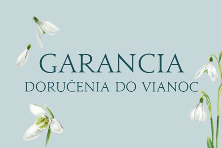 Doručenie do Vianoc