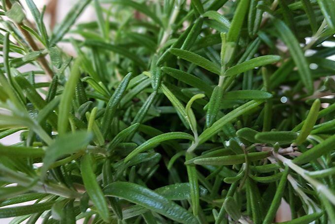 Hviezda mesiaca: Sérum proti vypadávaniu vlasov