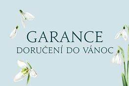 Doručenie do Vianoc