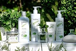 Rozhovor s kreatívnou riaditeľkou: Medovka v novom