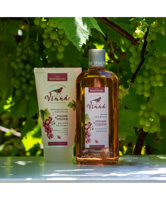 Revitalizujúci kondicionér pre objem a farbené vlasy VÍNO